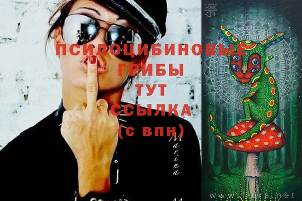 спайс Алзамай