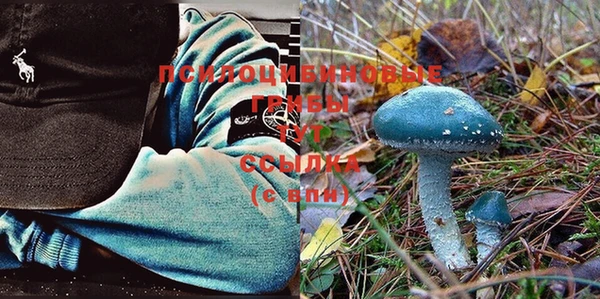 спайс Алзамай