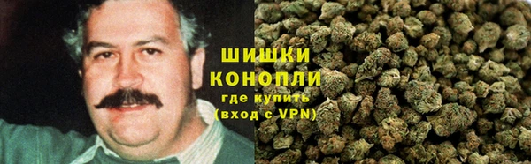 шишки Алексеевка