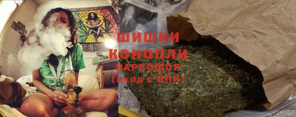 спайс Алзамай