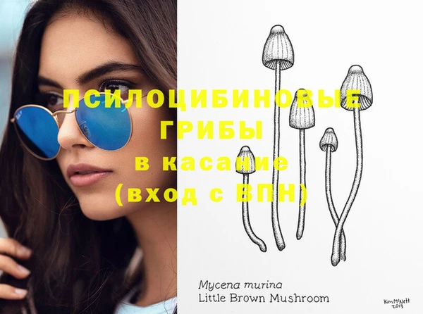 шишки Алексеевка